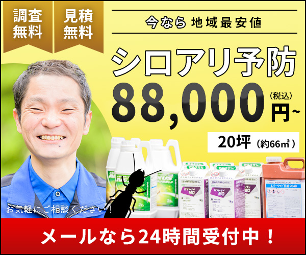 メールなら24時間受付中！